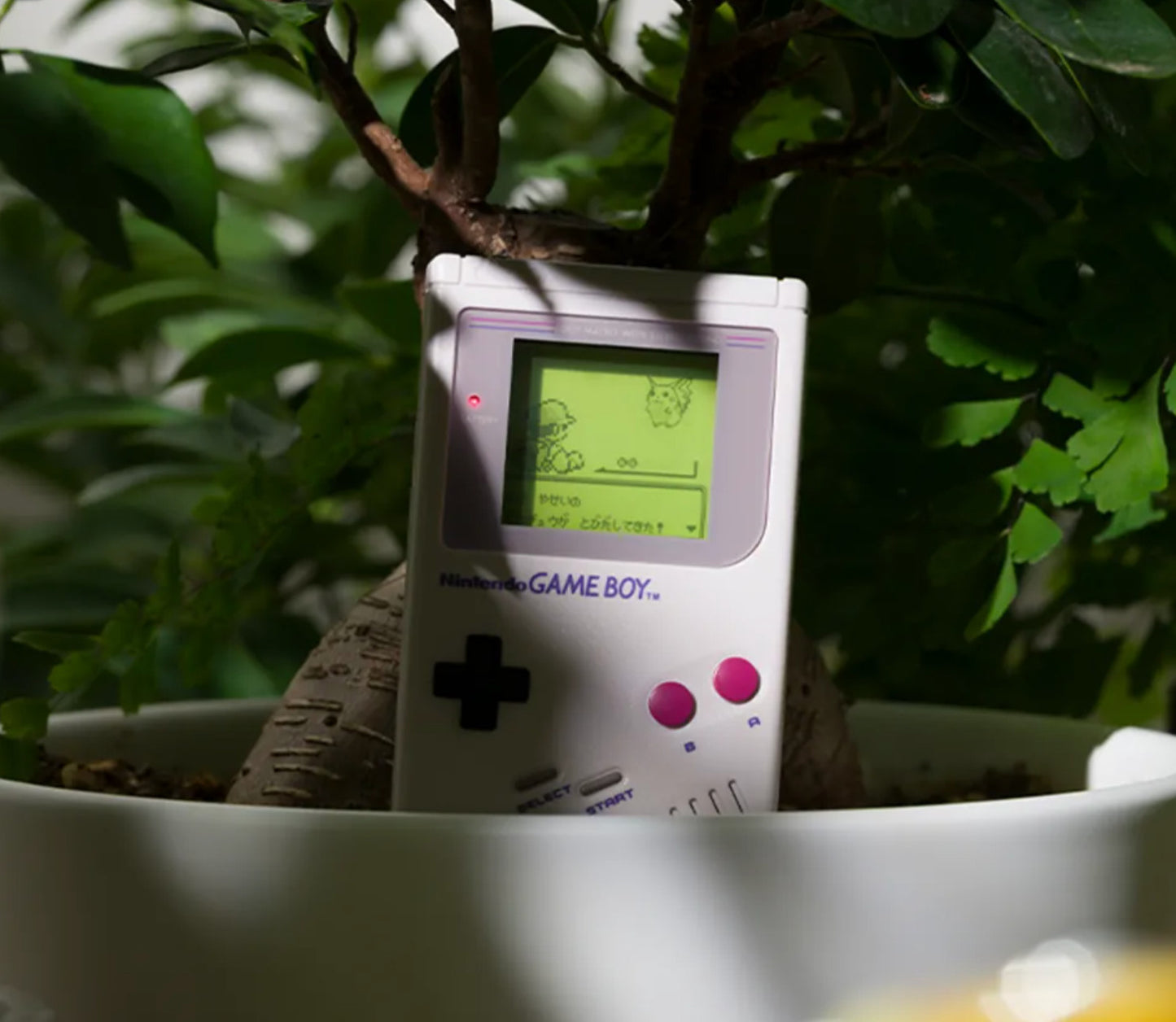 Pokémon Red & Pokémon Blue Game Music Collection: Game Boy Jukebox