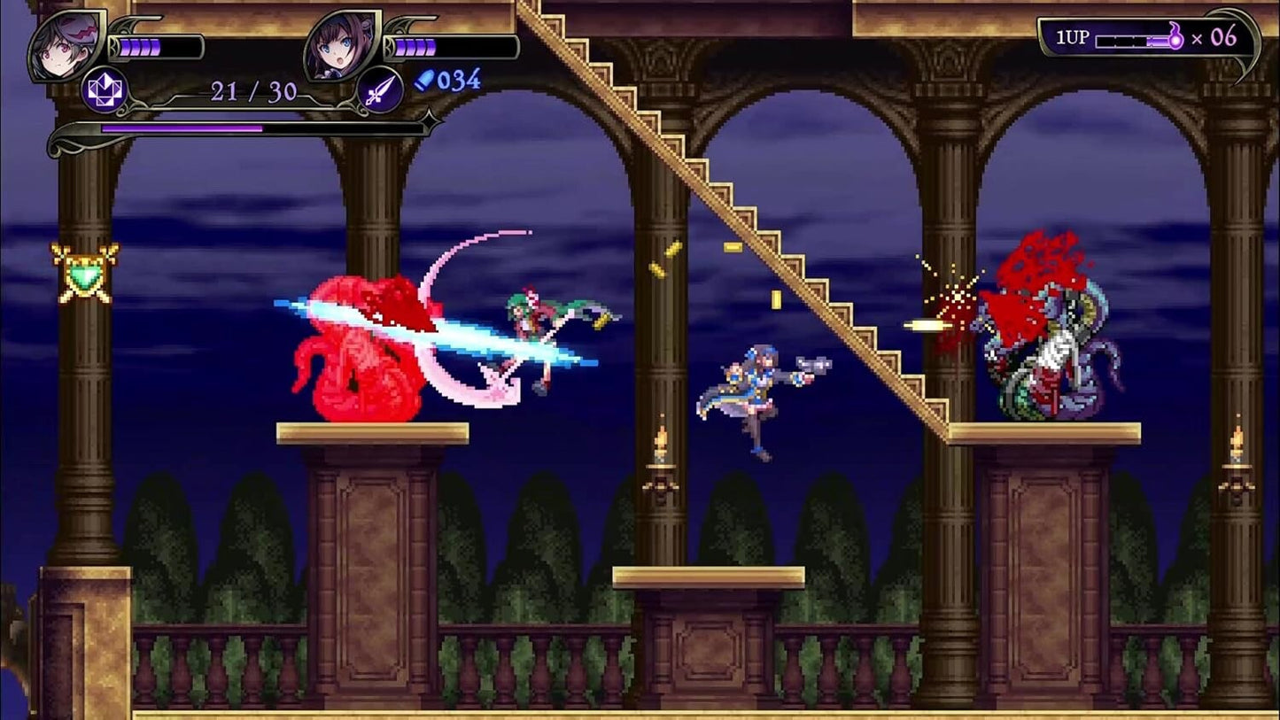 Grim Guardians: Demon Purge -Switch JAPAN
