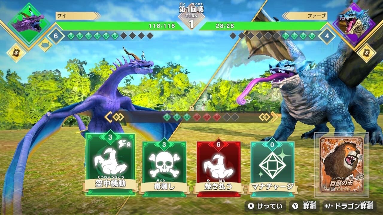Dragon Strongest King Encyclopedia Battle Coliseum -Switch