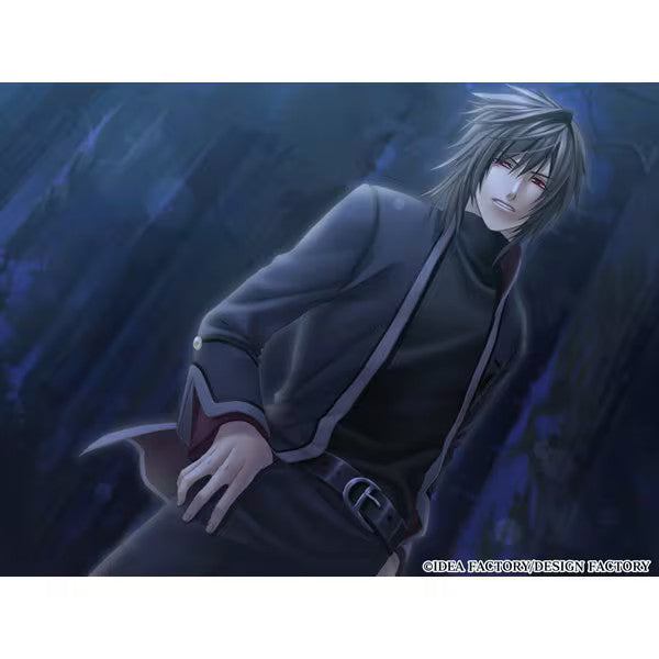 Scarlet Fragment Tamayorihime Kitan Omoiro no Memories Switch From Japan