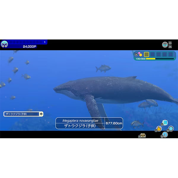 Forever Blue Luminous Nintendo Switch Japan Best Seller Game 2024 Used