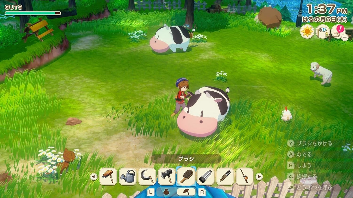 NINTENDO BOKUJO MONOGATARI Let's Go to the Grand Bazaar Switch 2 Edition