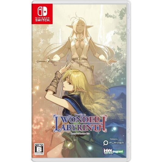 SW Record of Lodoss War Nintendo Switch Playism Sealed Action