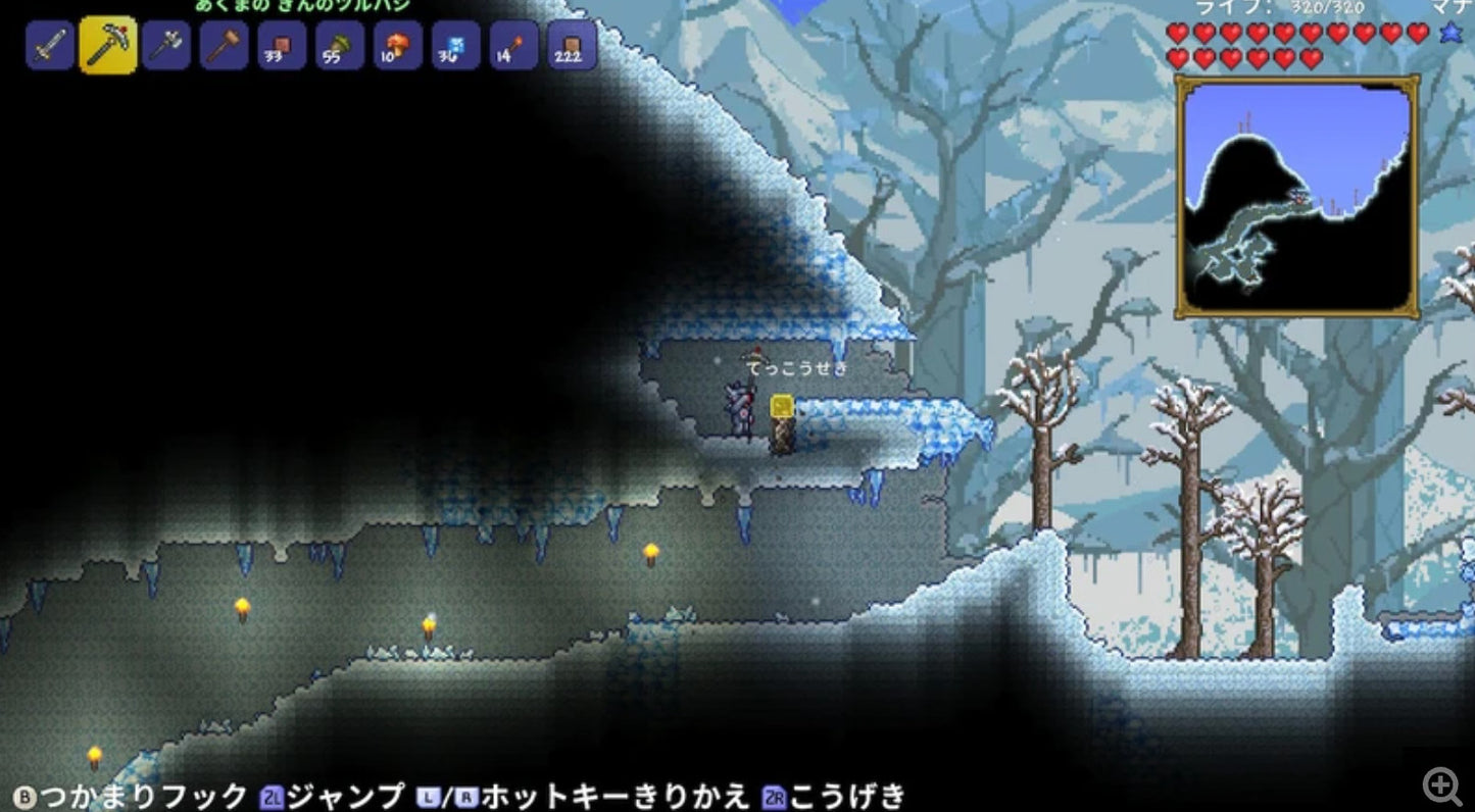 Terraria Nintendo Switch Japan Version