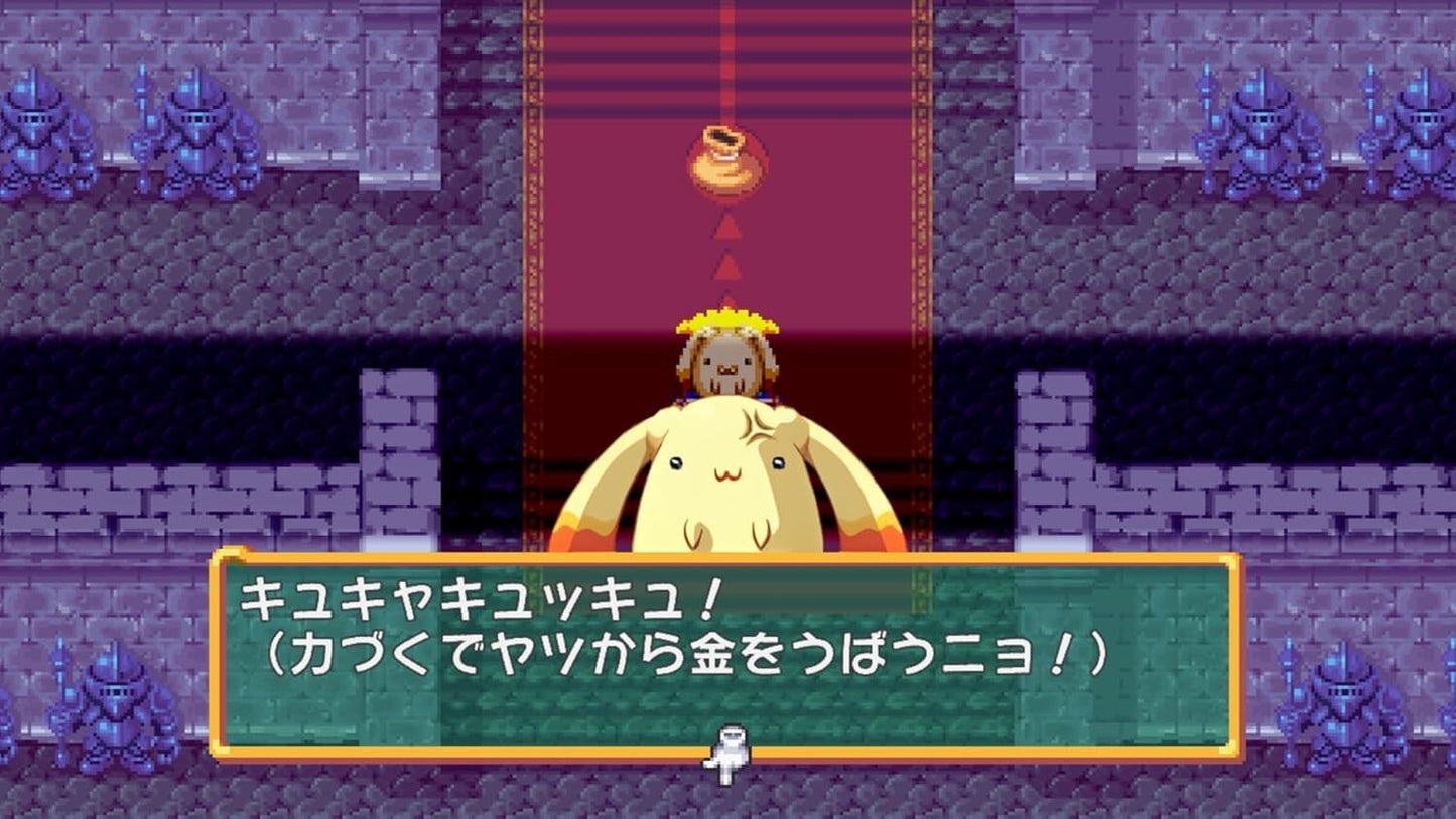 (JAPAN) Nintendo Switch video game Dokapon! Iron Sword of Rage - SW