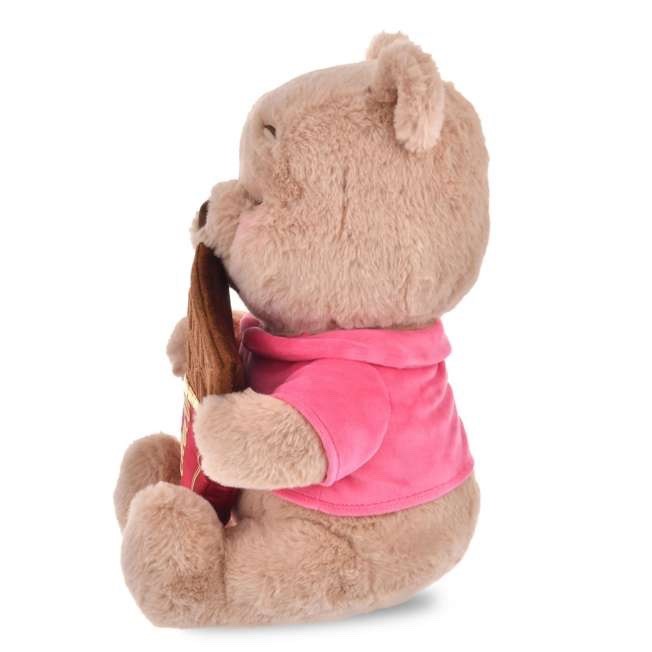 Japan Tokyo Disney Store Winnie the Pooh Plush Toy CHOCOLATE STYLE