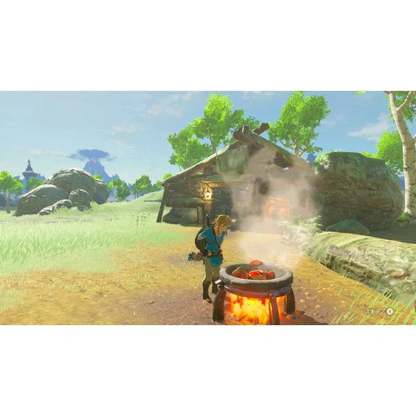 The Legend of Zelda Breath of the Wild + Expansion Pass Nintendo