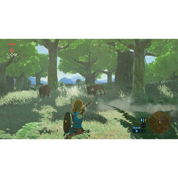 The Legend of Zelda Breath of the Wild + Expansion Pass Nintendo