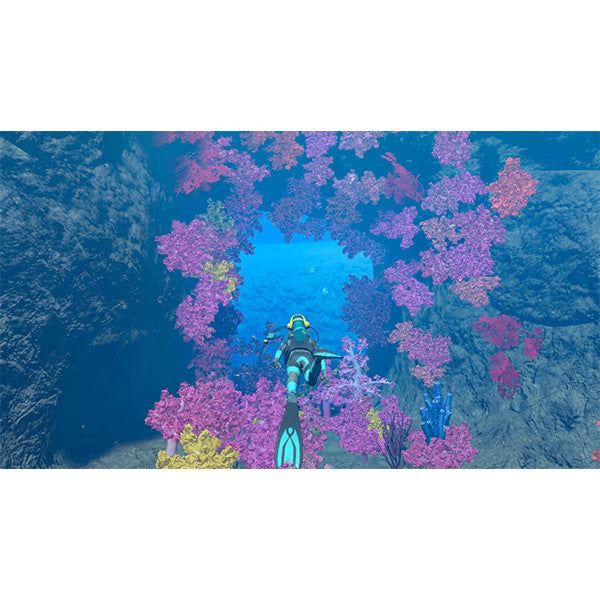 Forever Blue Luminous Nintendo Switch Japan Best Seller Game 2024 Used