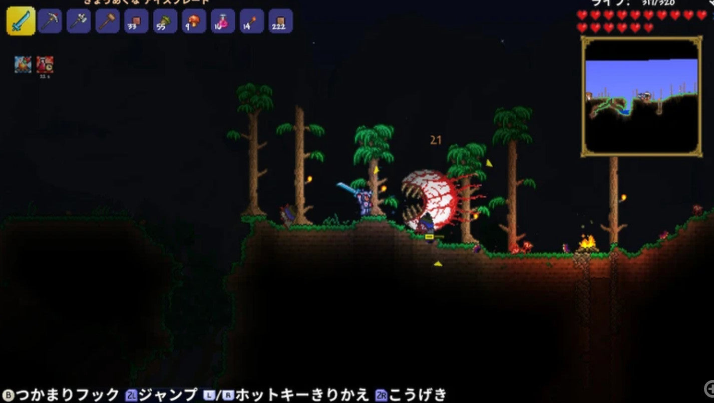 Terraria Nintendo Switch Japan Version