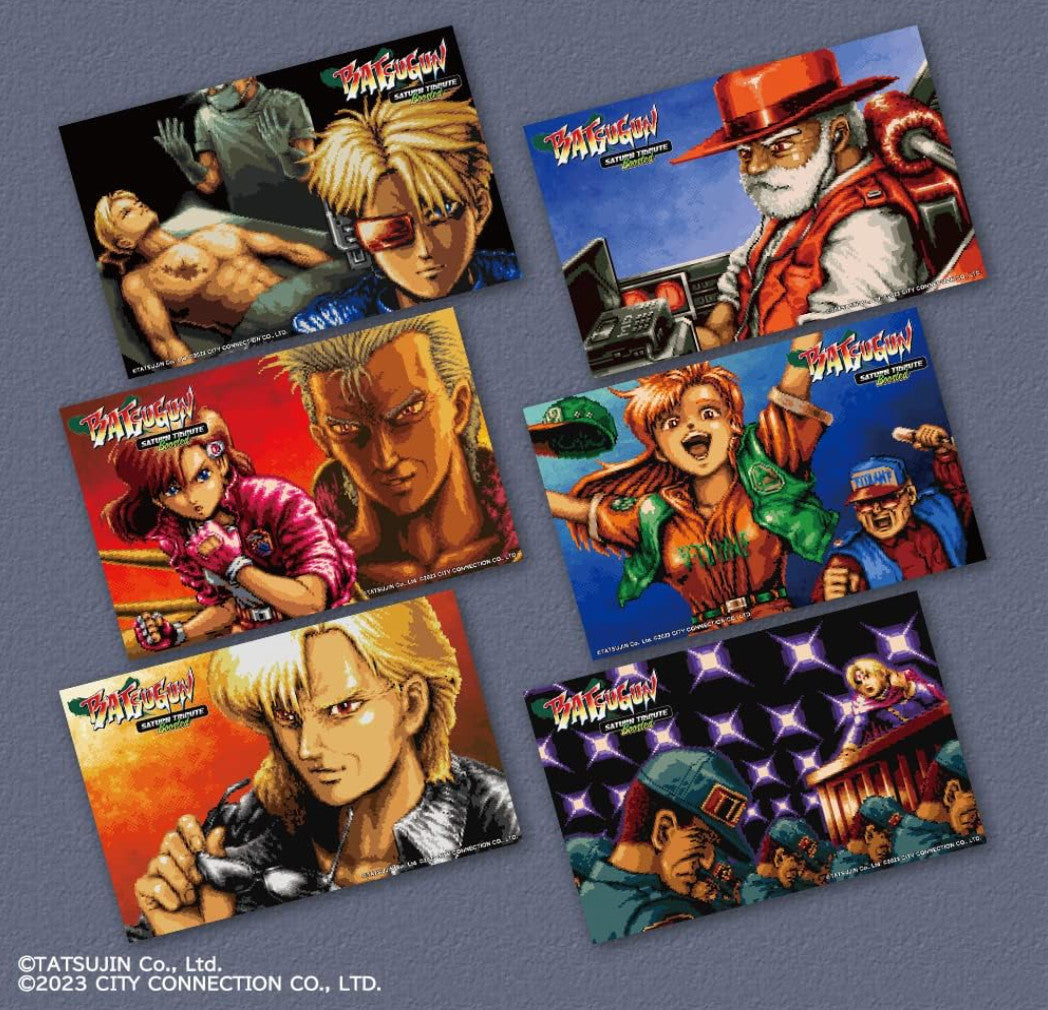 Nintendo Switch Video Games Batsugun Saturn Tribute Boosted Japan
