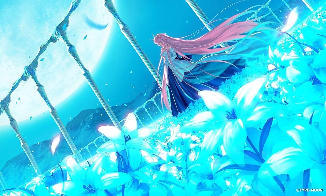 Nintendo Switch Tsukihime A Piece of Blue Glass Moon Japan