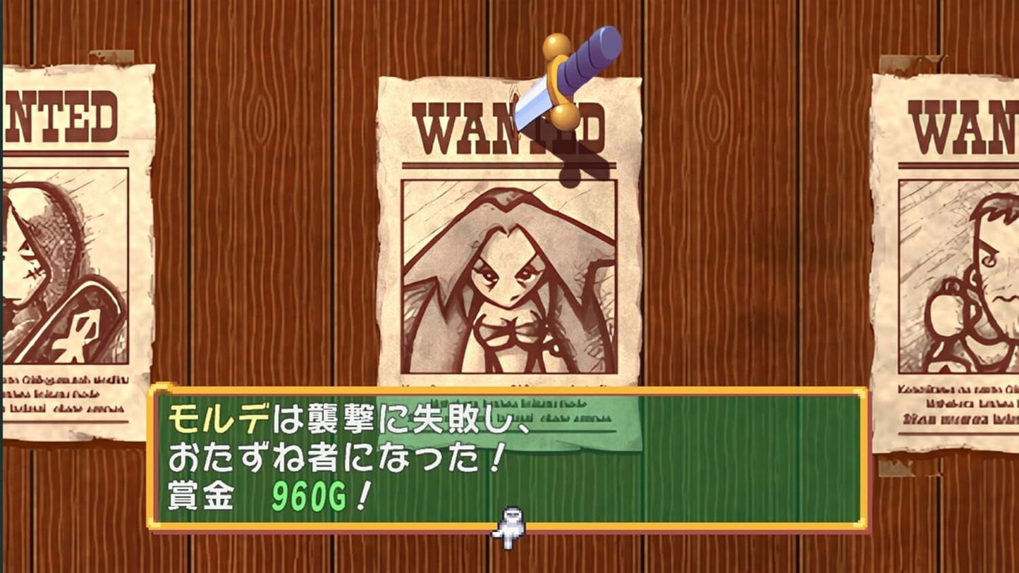 (JAPAN) Nintendo Switch video game Dokapon! Iron Sword of Rage - SW