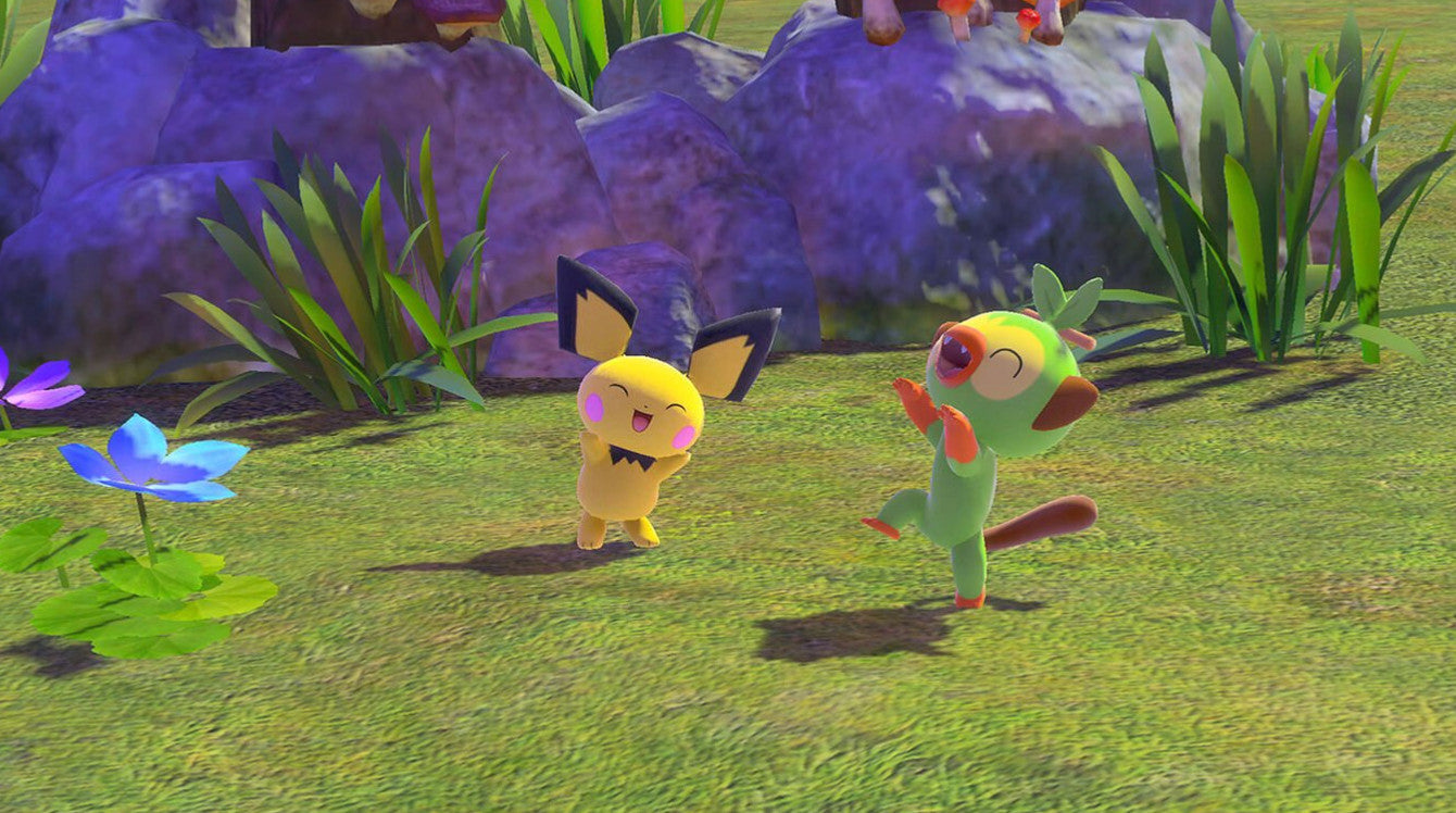 Ninteno Switch Video Games Pokemon Snap Snapshot Japan