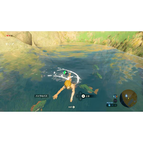 The Legend of Zelda Breath of the Wild + Expansion Pass Nintendo