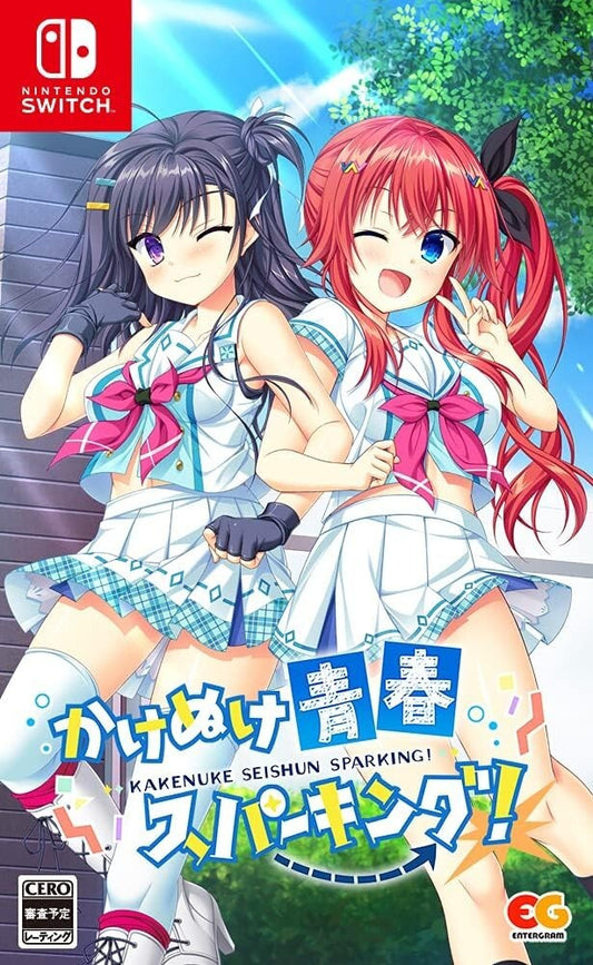 Unopened SW Kakenuke Seishun Sparking Nintendo Switch Entergram Sealed Bishoujo