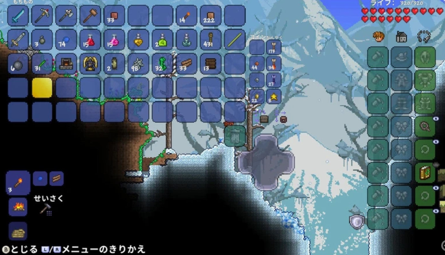 Terraria Nintendo Switch Japan Version